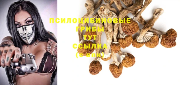 spice Белоозёрский