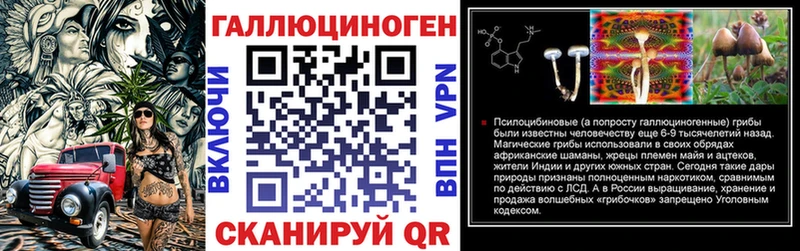 Галлюциногенные грибы GOLDEN TEACHER  наркотики  hydra зеркало  Кизилюрт 